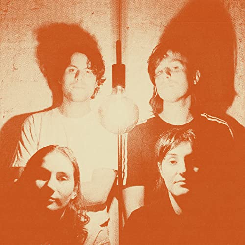 the the Stroppies - Levity (Ltd Clear Vinyl) - Vinyl