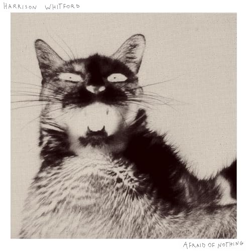 Harrison Whitford - Afraid of Nothing - Vinyl