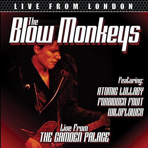 The Blow Monkeys - Live From London - CD