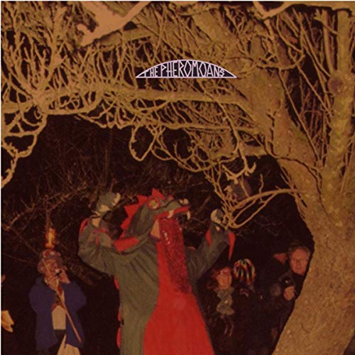 Pheromoans - Does This Guy Stack Up - Vinyl