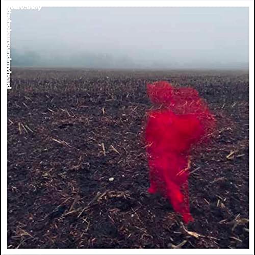 WILL VARLEY - THE HOLE AROUND MY HEAD - Vinyl