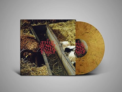 This Is Not Your Fault - Vinyl