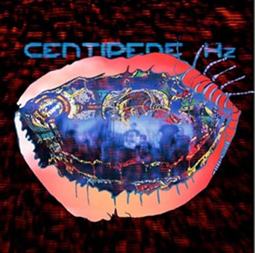 Animal Collective - Centipede Hz - CD