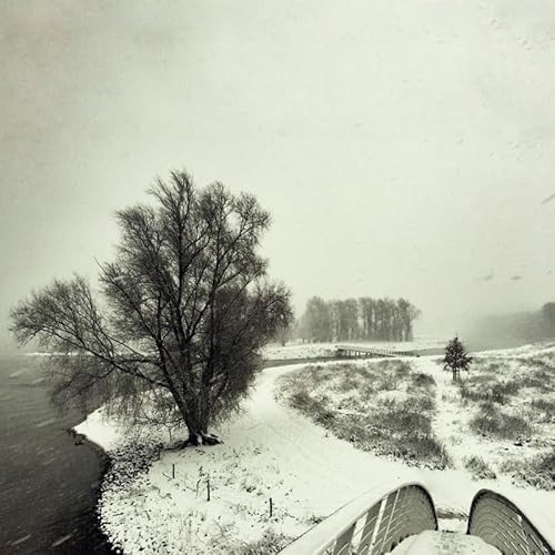 Beequeen - Winter - Vinyl