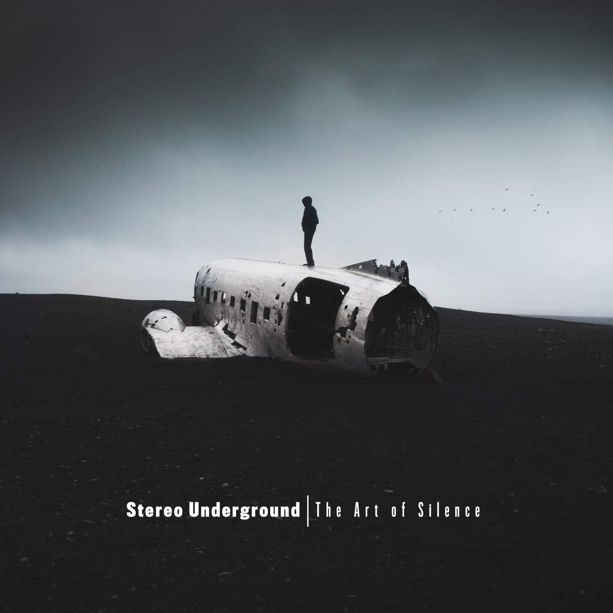 Stereo Underground The Art Of Silence Vinyl New Mint Electronic