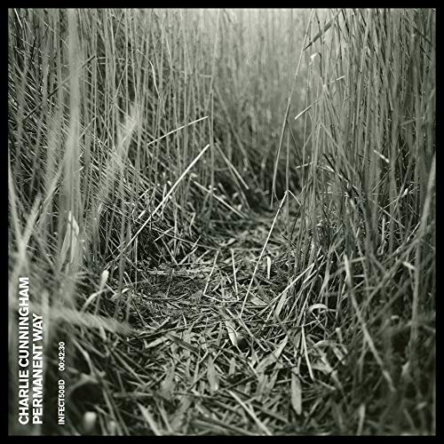 Charlie Cunningham - Permanent Way - Vinyl