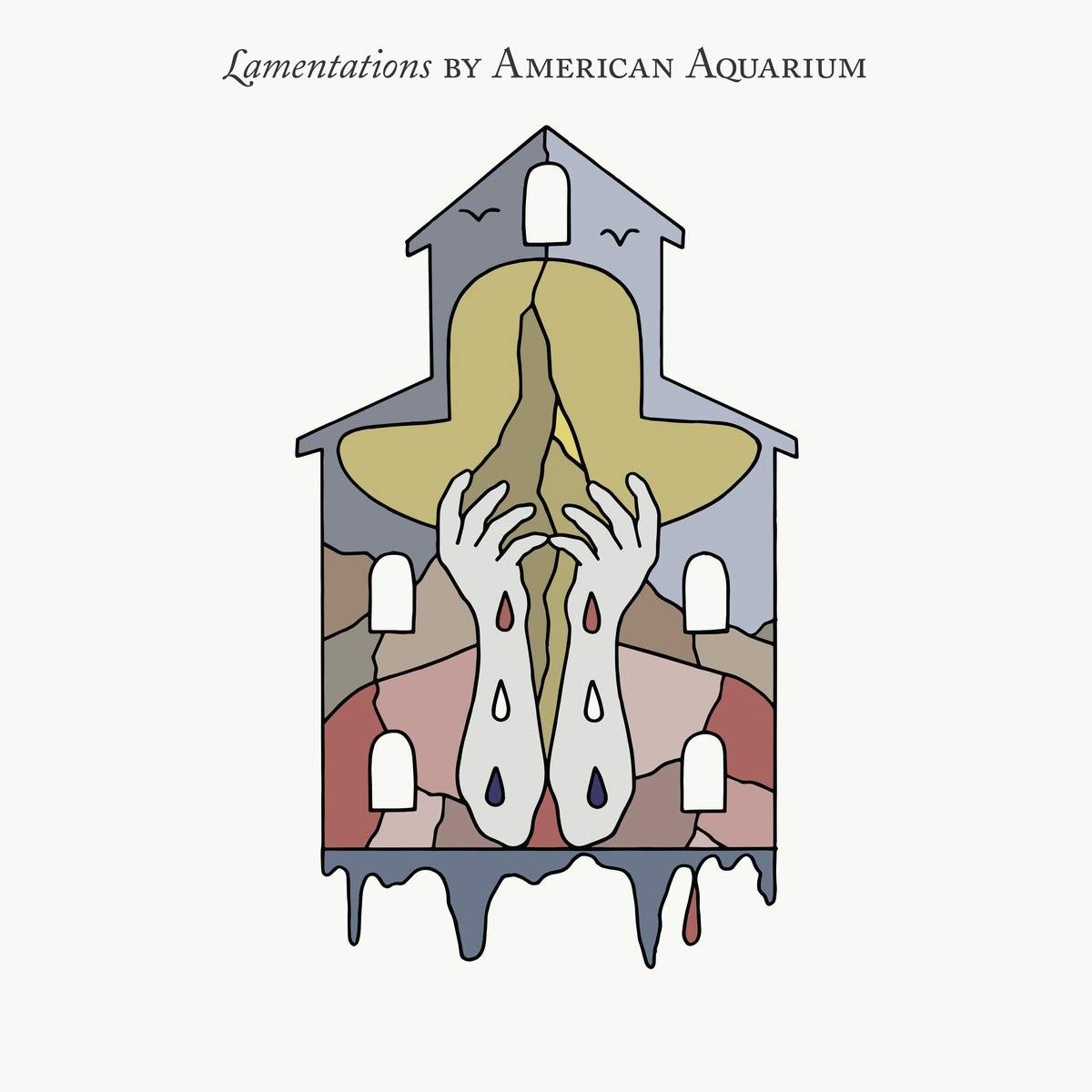 American Aquarium Lamentations Vinyl New Mint Country