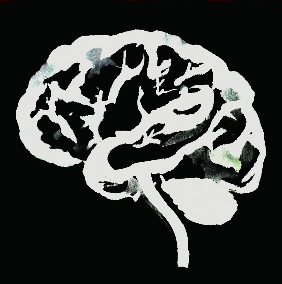 Ruins Brain Flakes Vinyl New Mint Rock