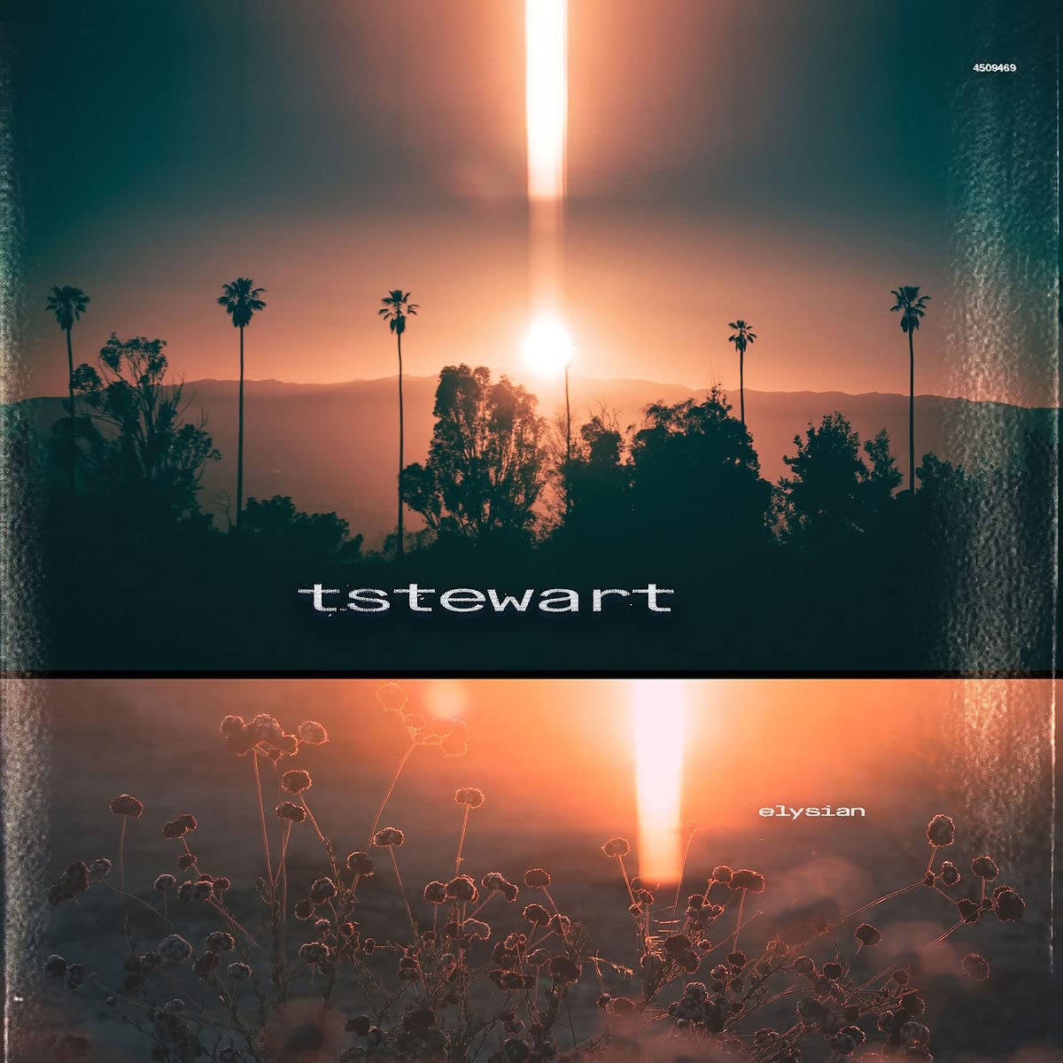 Tstewart Elysian Vinyl New Mint Electronic