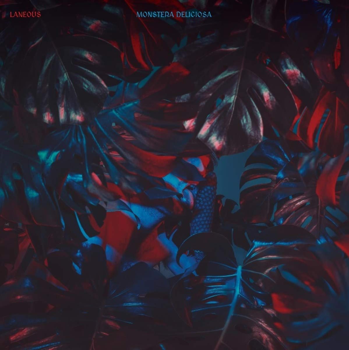 Laneous Monstera Deliciosa CD New Mint