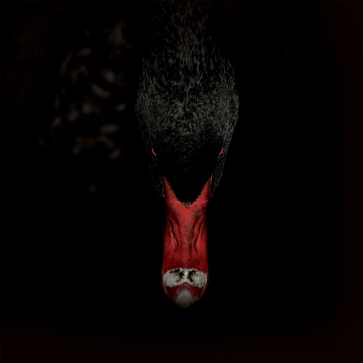 Sankt Otten + Majeure Männerfreundschaften Und Metaphysik CD New Mint Rock