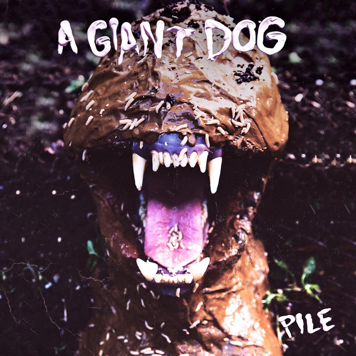A Giant Dog Pile CD New Mint Rock