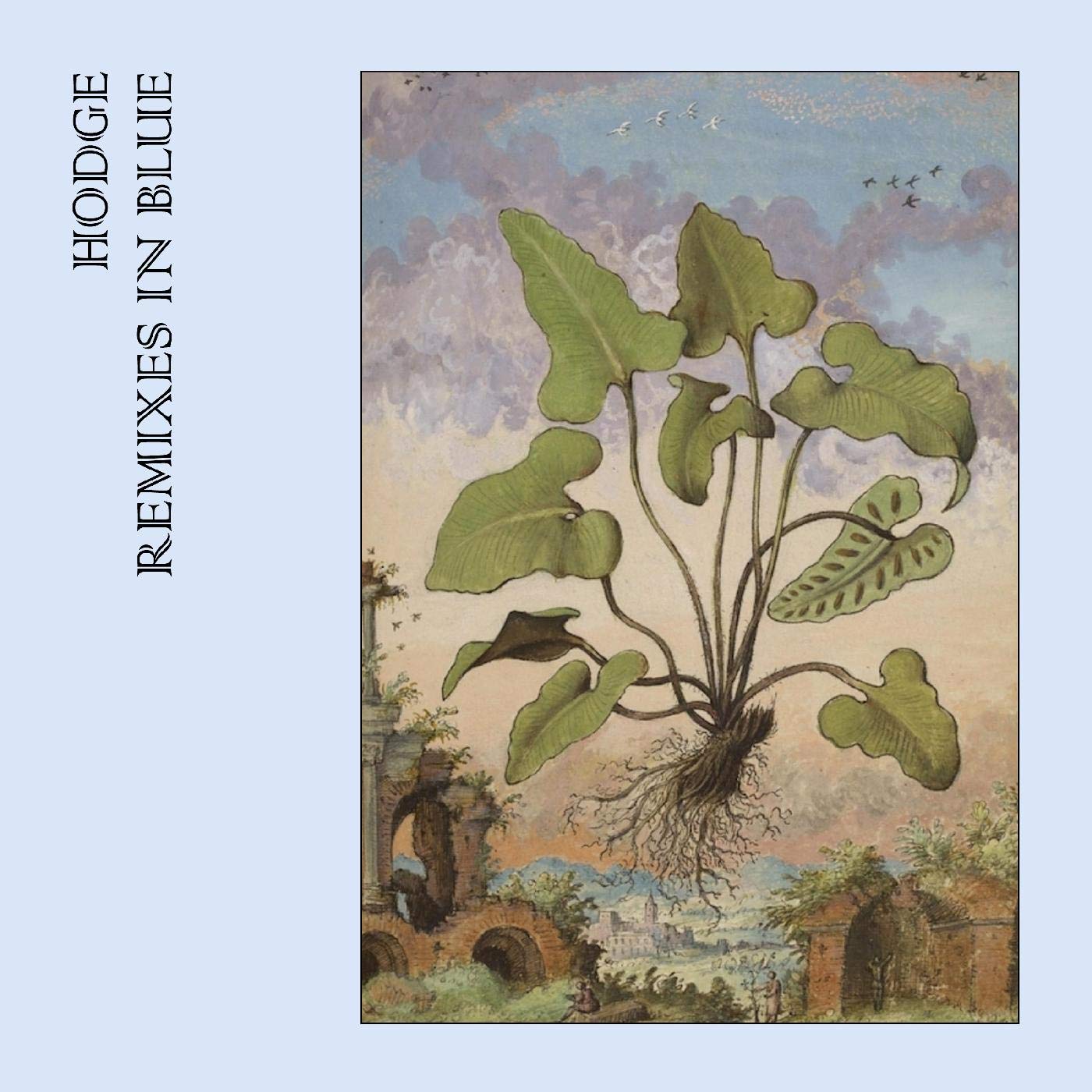 Hodge Remixes In Blue Vinyl New Mint Electronic