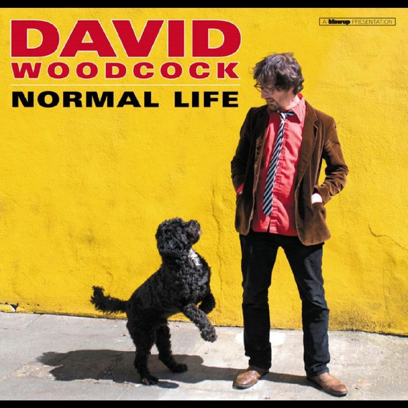 David Woodcock Normal Life Vinyl New Mint Indie