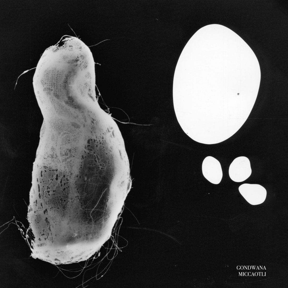 Gondwana Miccaotli Vinyl New Mint World