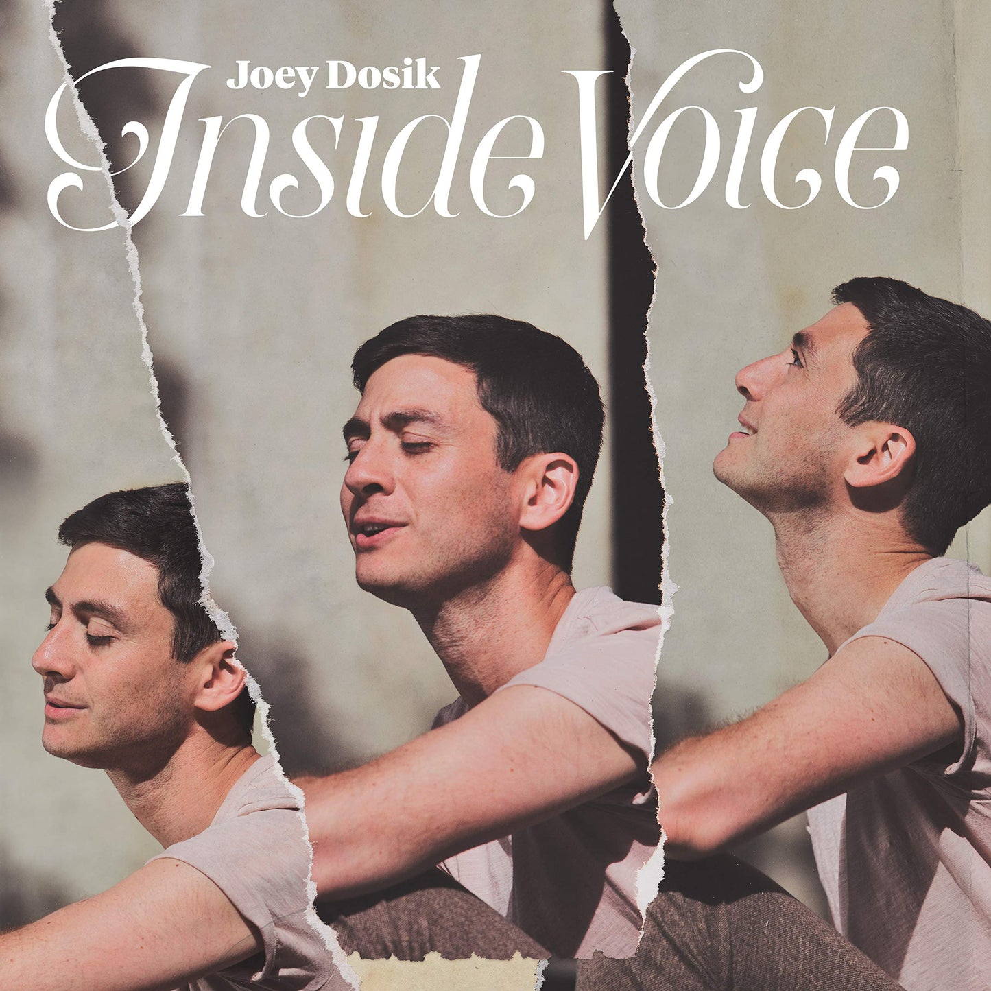 Joey Dosik Inside Voice CD New Mint