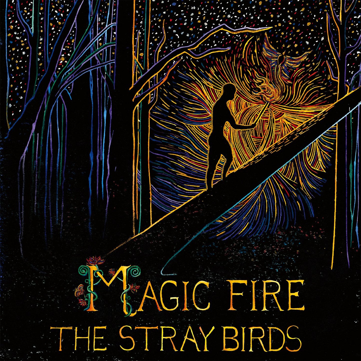 The Stray Birds Magic Fire Vinyl New Mint Rock