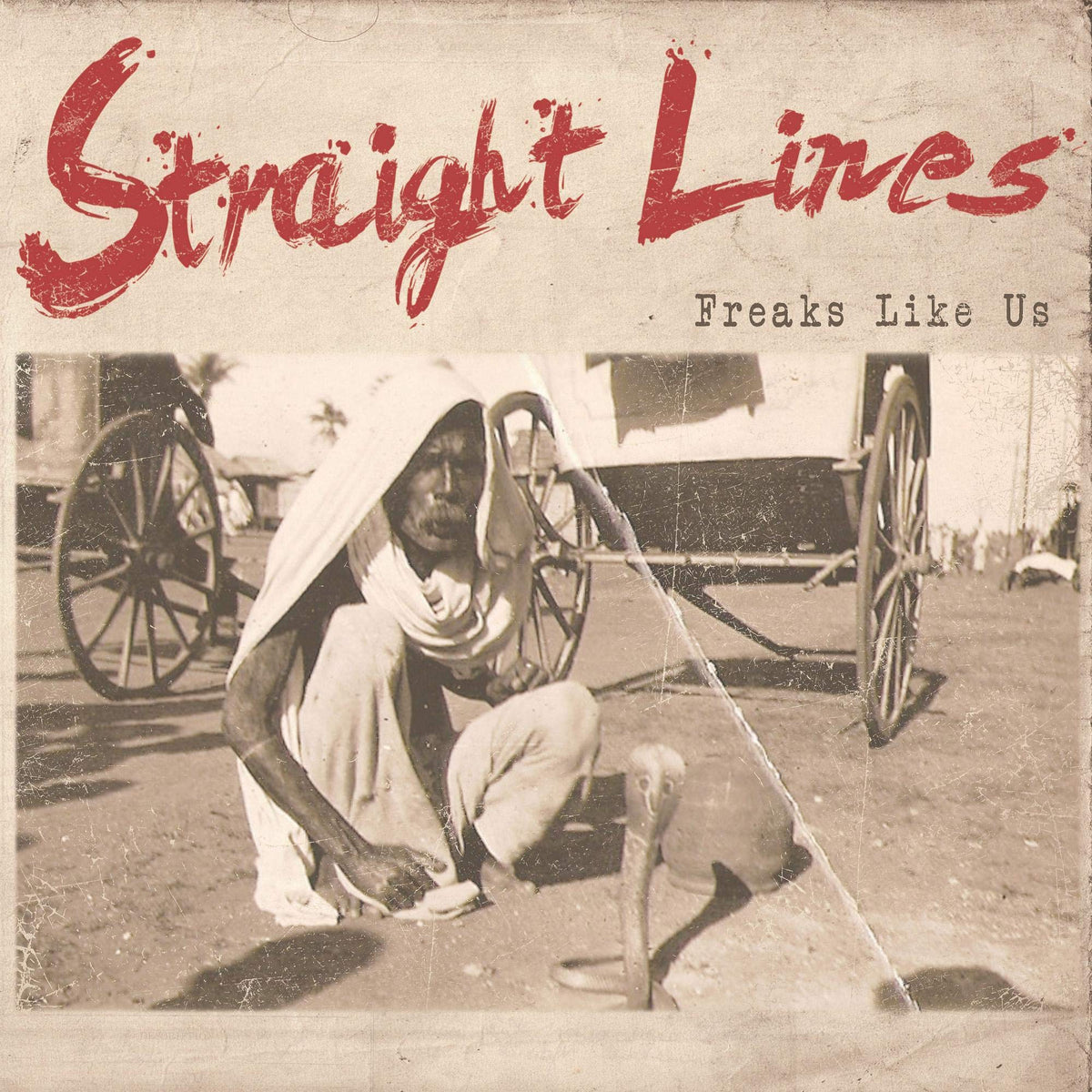 Straight Lines Freaks Like Us CD New Mint Rock