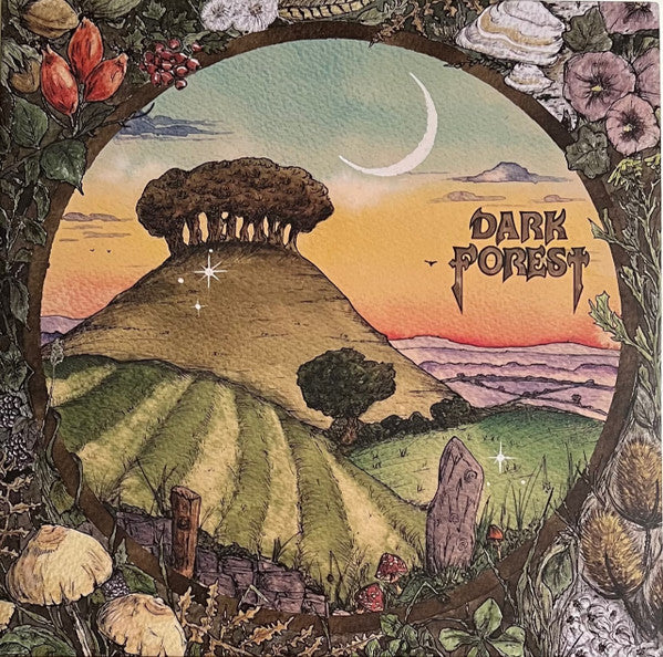 Dark Forest - Ridge & Furrow (Ltd) - 12" - New