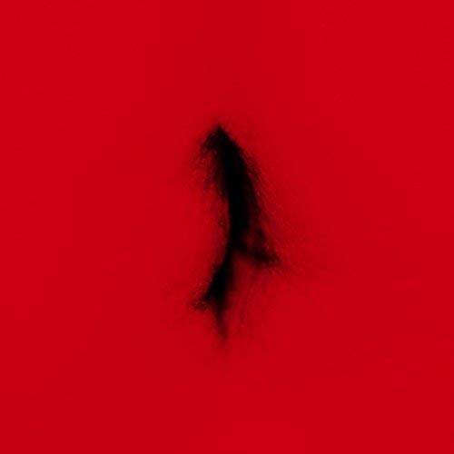 Dingwei Untied Vinyl New Mint Electronic