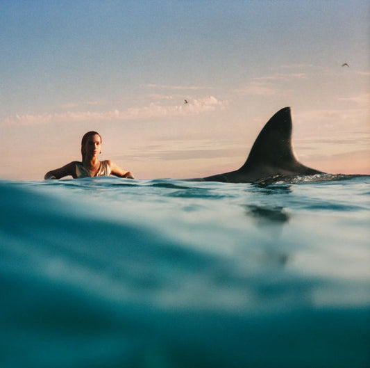 Dua Lipa : Radical Optimism (LP, Album, S/Edition,  Bl)