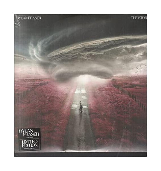 Dylan Fraser The Storm Vinyl New Mint Pop