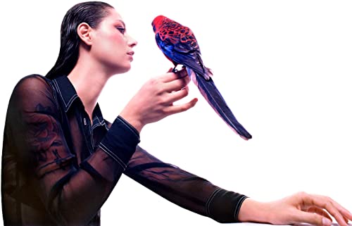 Grace Cummings - Storm Queen (Opaque white vinyl) - Vinyl