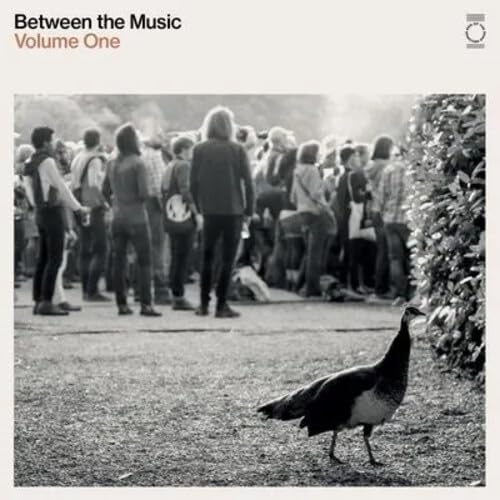 Various Artists End Of The Road Presents: Between The Music [vinyl] (White Coloured) 2xVinyl New Mint