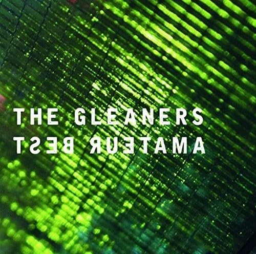 Amateur Best The Gleaners Vinyl New Mint Electronic