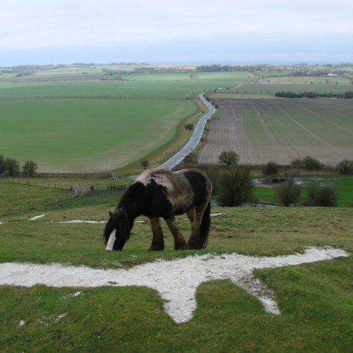 Way Through - Clapper Is Still - CD