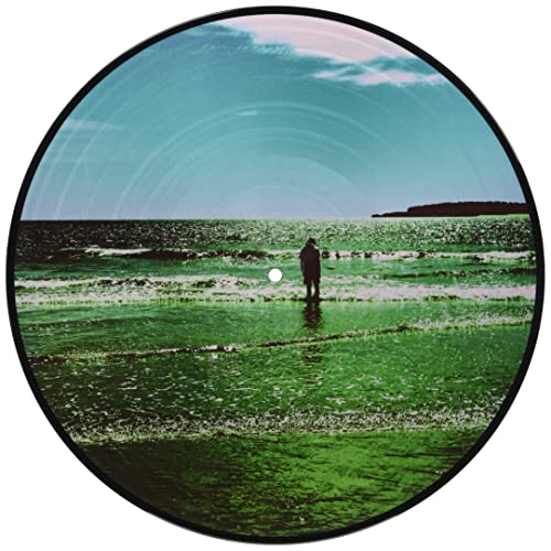 The Ultra Vivid Lament - Vinyl