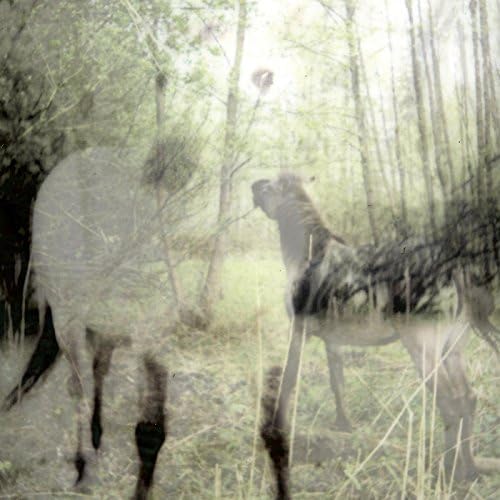 Bart De Paepe Pagus Wasiae [] Vinyl New Mint Electronic