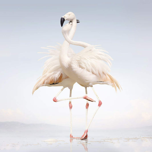 Rustie Green Language 2xVinyl New Mint Dance
