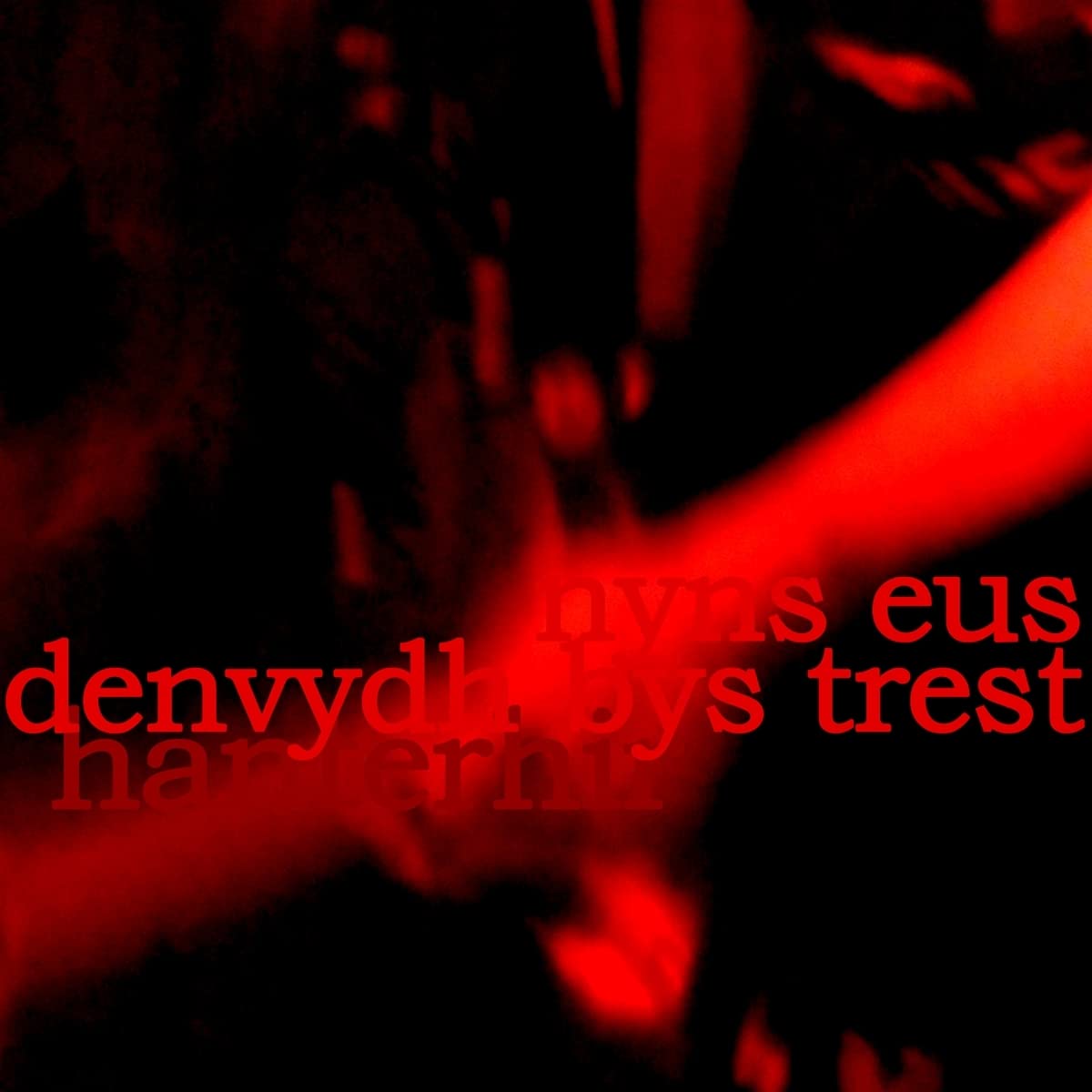 Hanterhir There Is No One To Trust (nyns Eus Denvydth By Vinyl New Mint Rock
