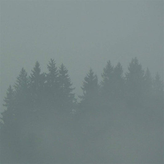 Max Loderbauer Donnerwetter [] Vinyl New Mint Electronic