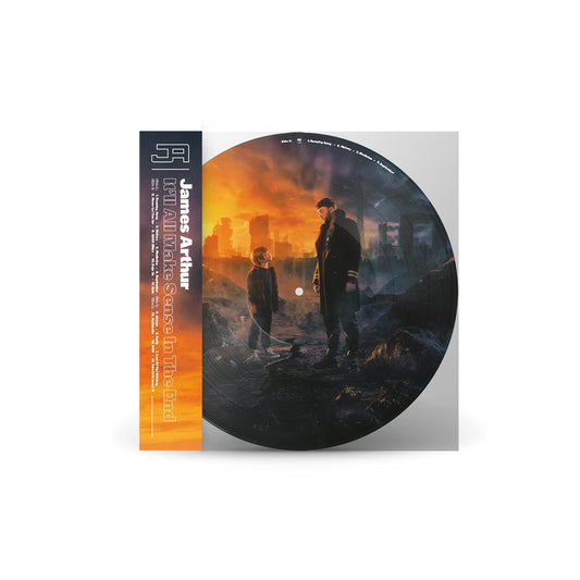 Arthur, James It'll All Make Sense In The End 2xVinyl New Mint Rock