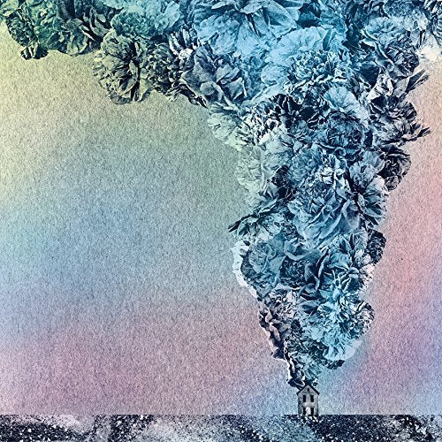 Daughn Gibson Carnation 2xVinyl New Mint Alternative