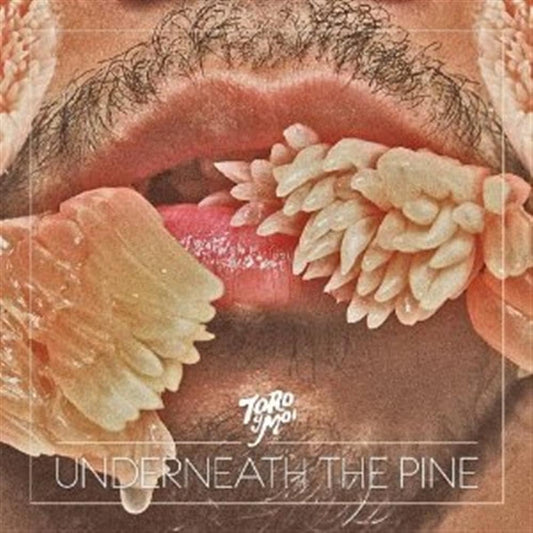 Toro Y Moi Underneath The Pine CD New Mint Rock
