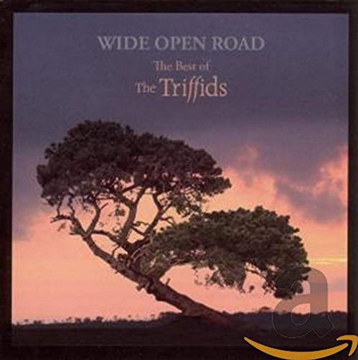 The Triffids Wide Open Road The Best Of CD New Mint Rock