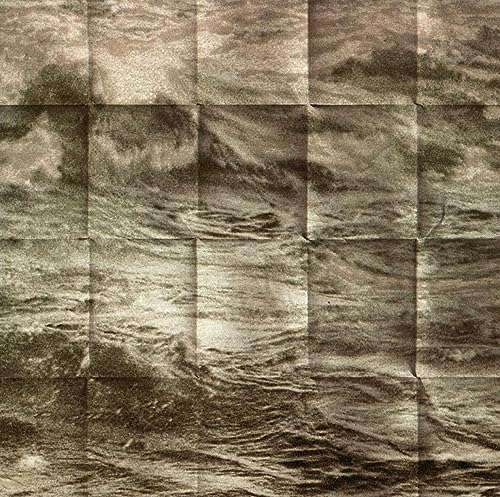 Minotaur Shock - Orchard - Vinyl