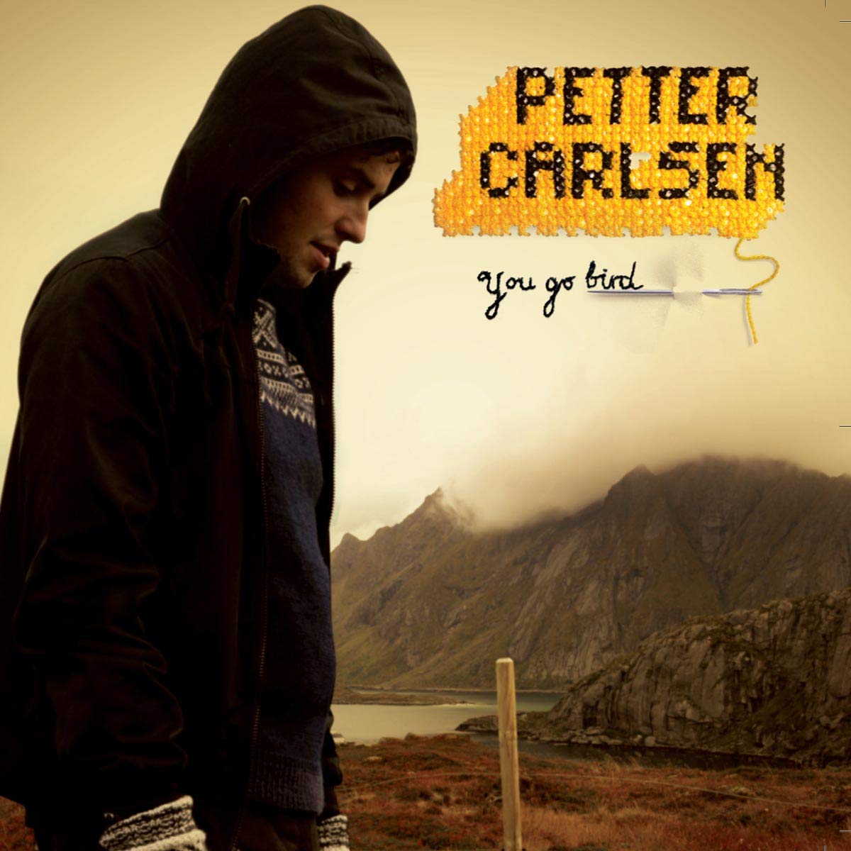 Petter Carlsen You Go Bird CD New Mint Rock