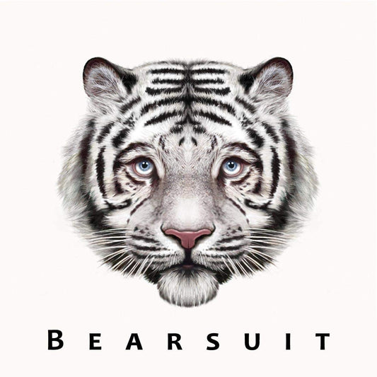 Bearsuit The Phantom Forest [] Vinyl New Mint Indie