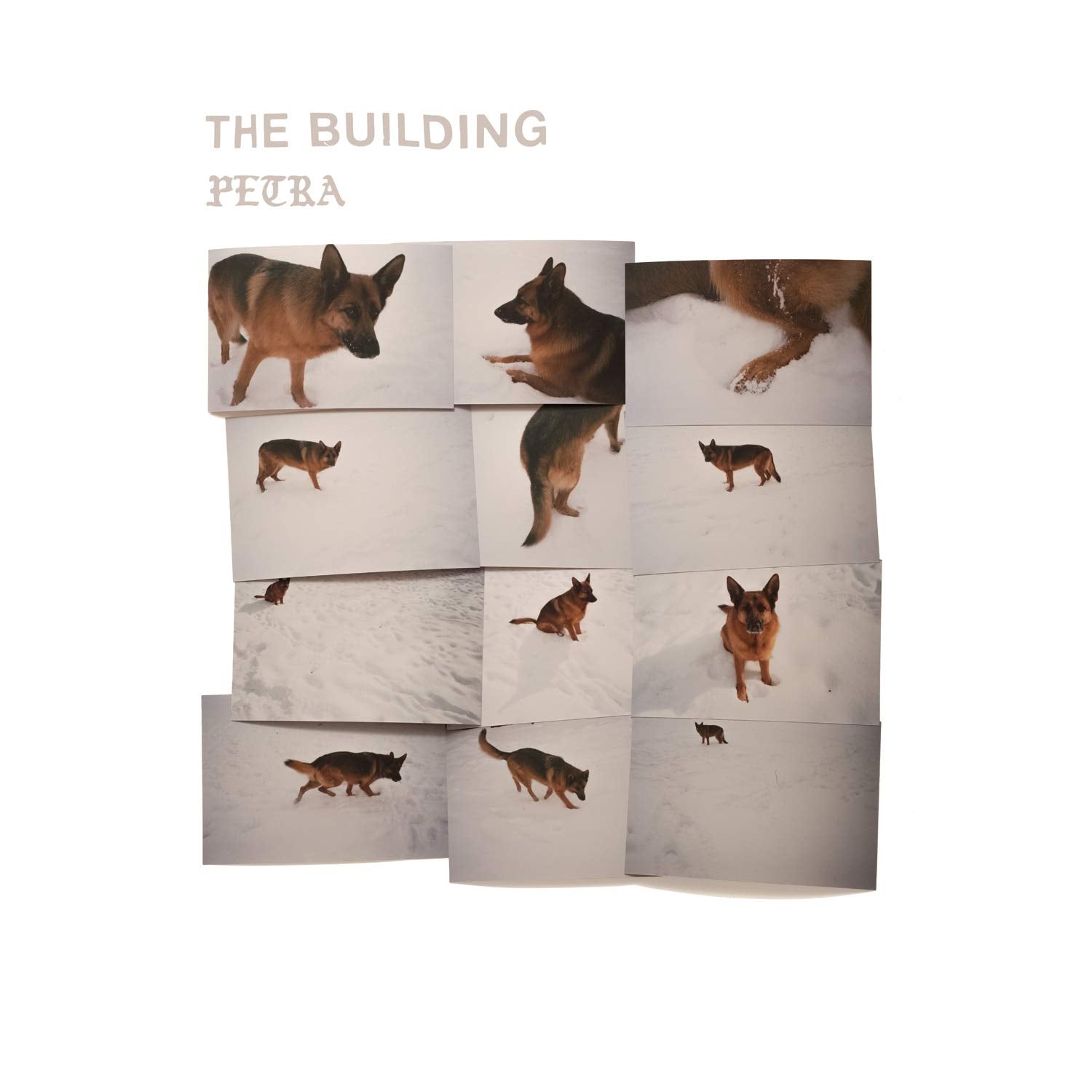 The Building Petra CD New Mint Rock
