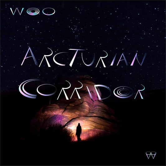Woo Arcturian Corridor Vinyl New Mint Electronic