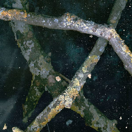 Saaadon Mpeth CD New Mint Metal