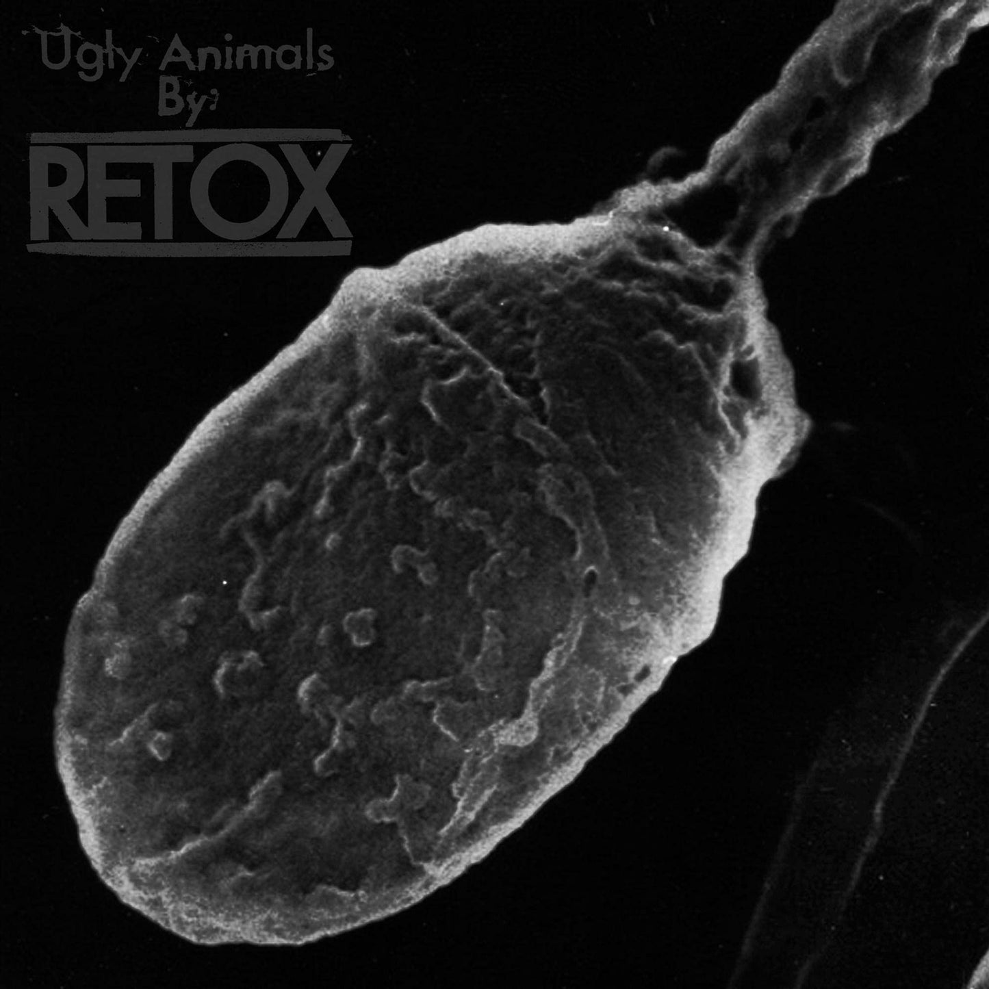Retox Ugly Animals CD New Mint Rock