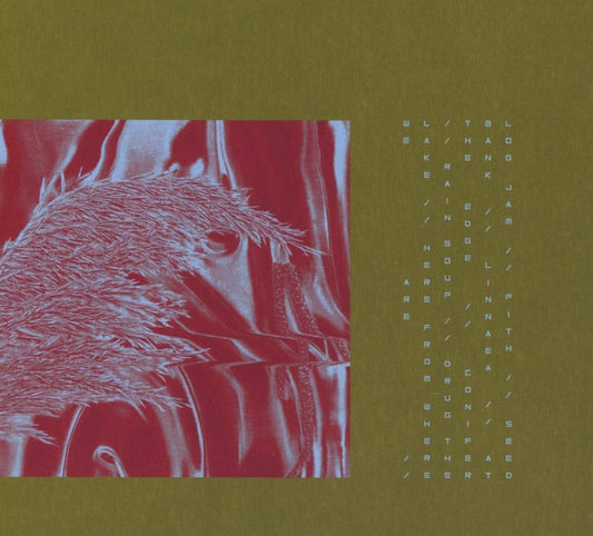 Pariah Here From Where We Are CD New Mint Electronic