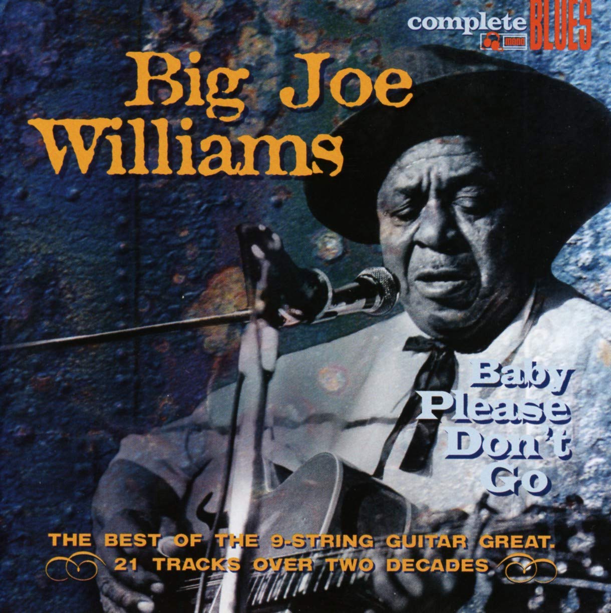 Big Joe Williams Baby Please Don't Go CD New Mint Blues