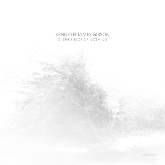 Kenneth James Gibson In The Fields Of Nothing [] Vinyl New Mint Dance