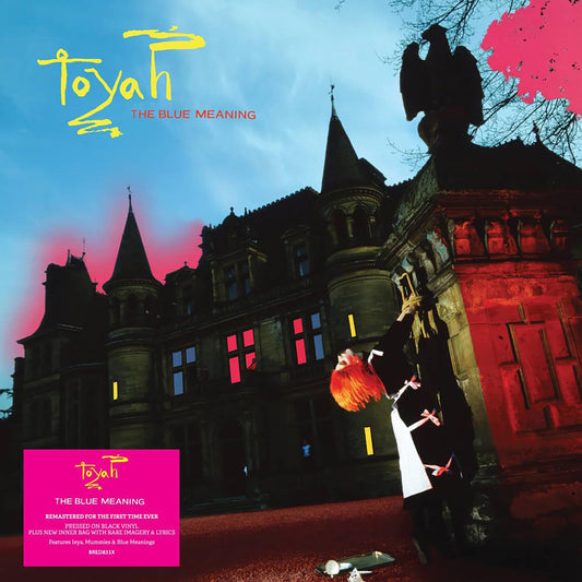 Toyah The Blue Meaning (Black) Vinyl New Mint Rock